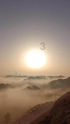 马夫妻当众秀恩爱,母马真是撒娇高手,这剧情单身狗没法看啊!